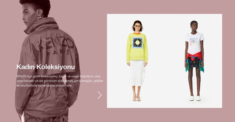Kadının moda koleksiyonu Web sitesi tasarımı