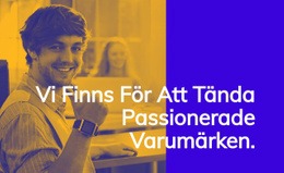 Affärsmarknadsföringsstrateger