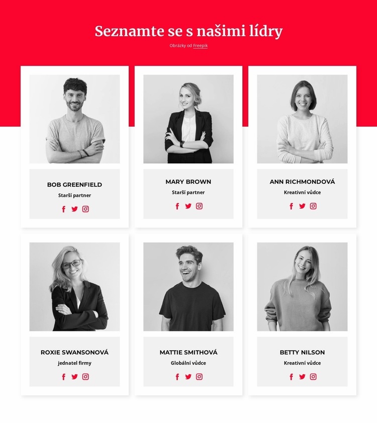 Seznamte se s našimi lídry Téma WordPress