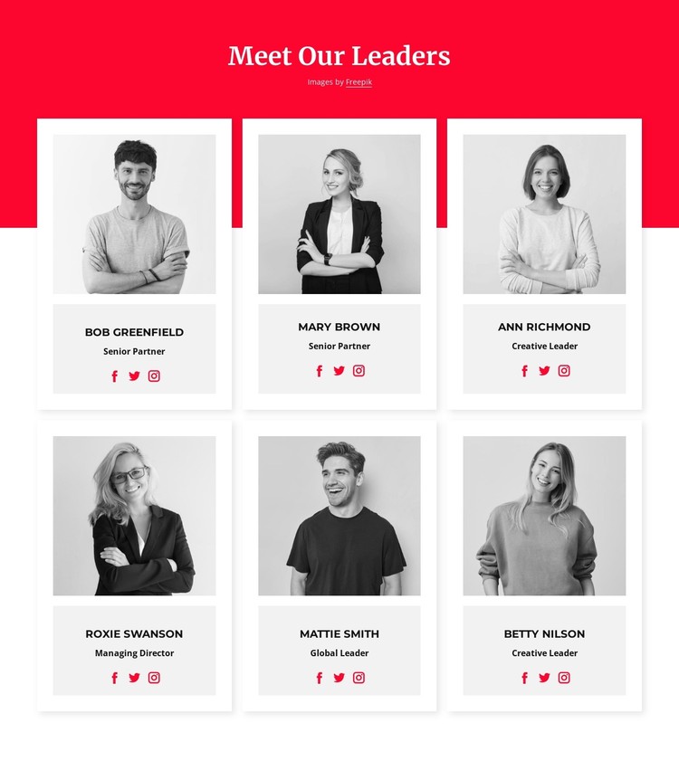 Meet our leaders CSS Template