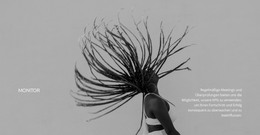 Top Originalfotos - HTML-Websitevorlage