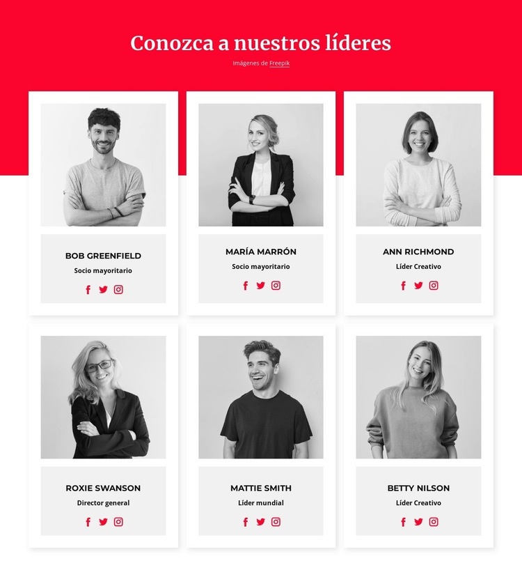 Conoce a nuestros líderes Maqueta de sitio web