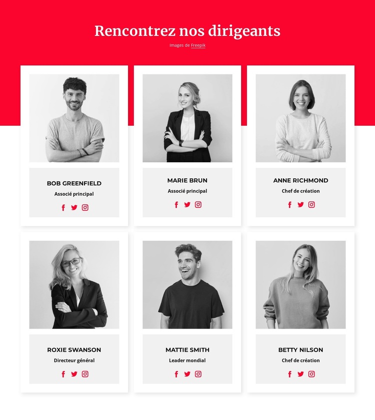 Rencontrez nos dirigeants Thème WordPress