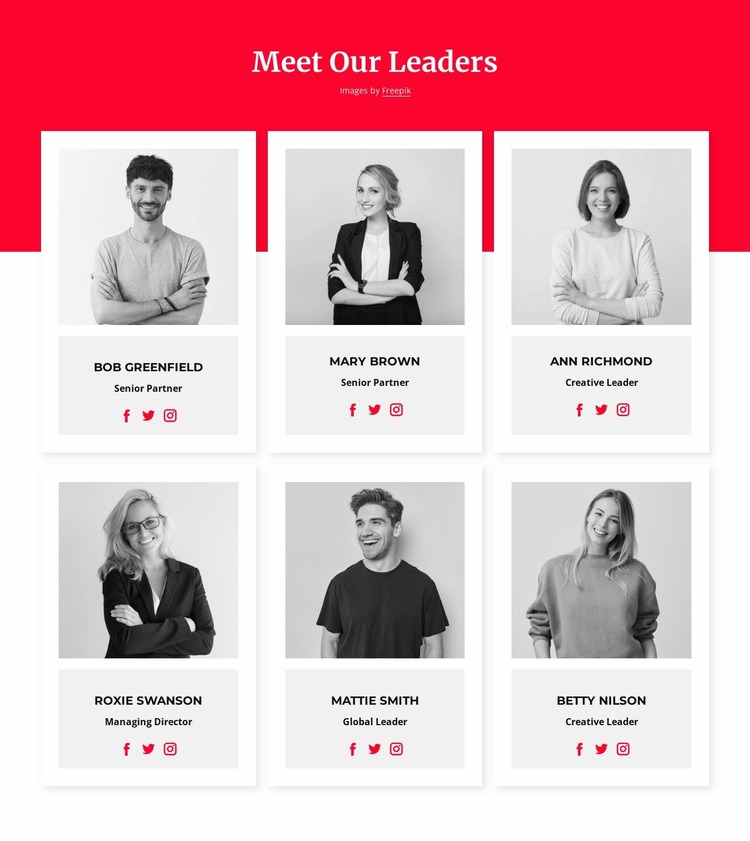 Meet our leaders Html Website Builder