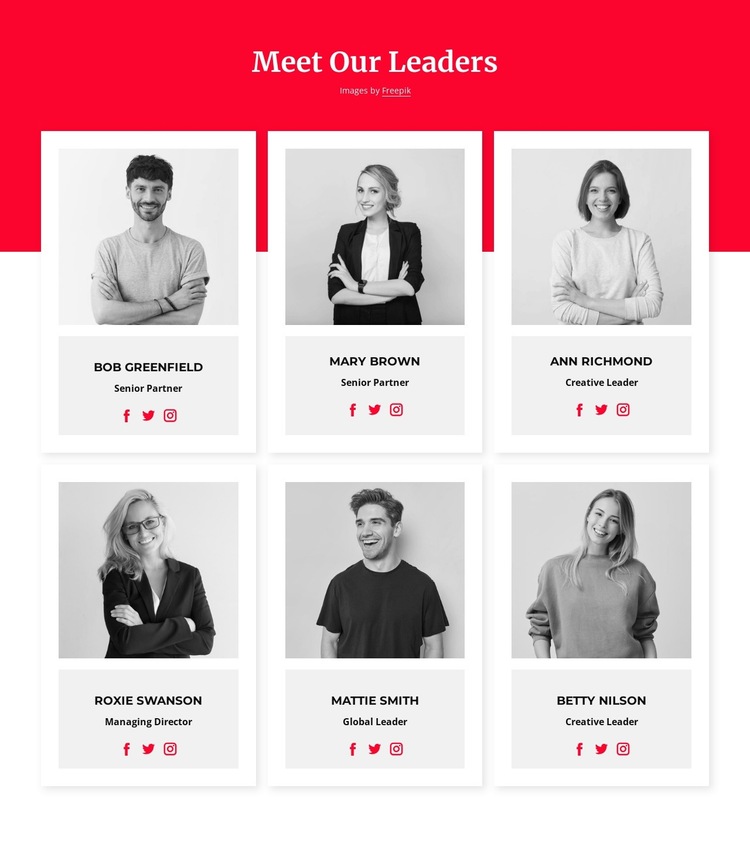 Meet our leaders HTML5 Template