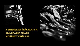 Étterem Menü - HTML Webhelysablon