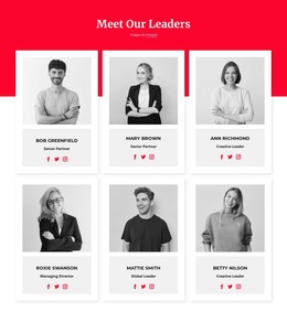 Ready To Use Joomla Template For Meet Our Leaders