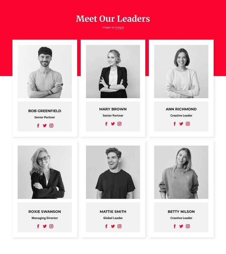 Meet our leaders Joomla Template
