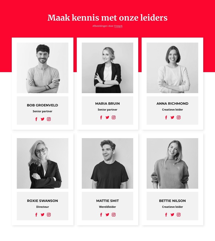 Maak kennis met onze leiders CSS-sjabloon