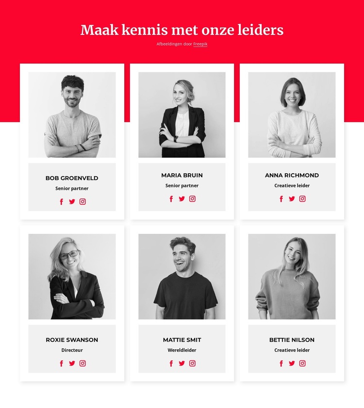 Maak kennis met onze leiders WordPress-thema