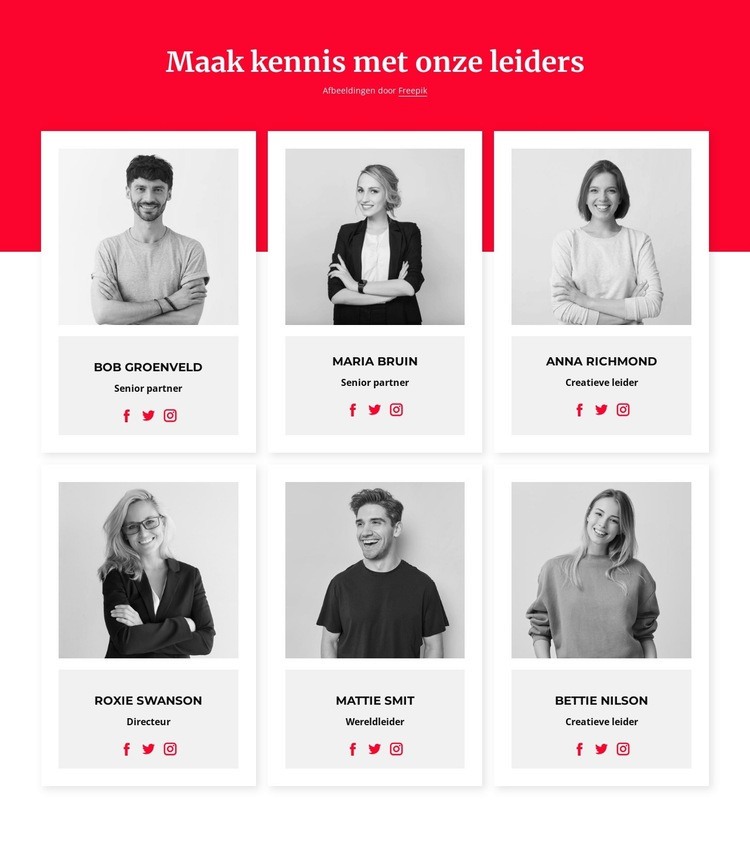 Maak kennis met onze leiders Website mockup