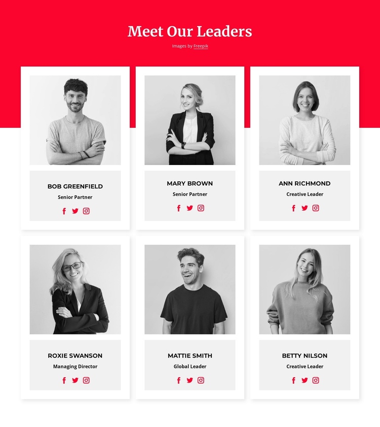 Meet our leaders One Page Template