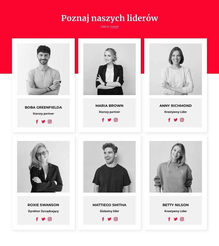 Poznaj naszych liderów Szablony do tworzenia witryn internetowych