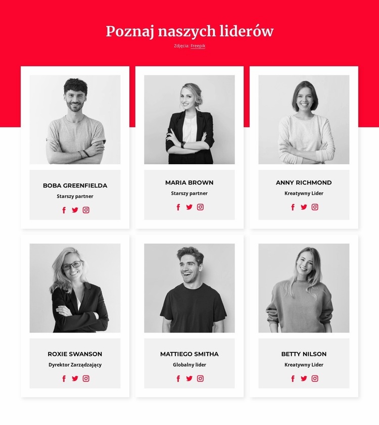 Poznaj naszych liderów Makieta strony internetowej