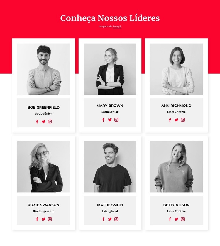 Conheça nossos líderes Design do site