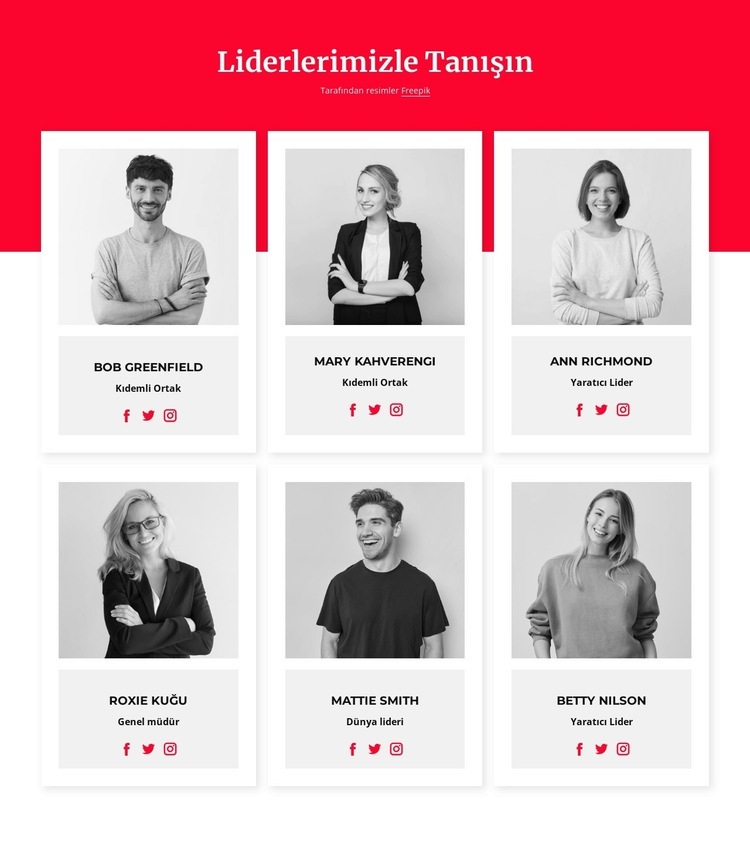 Liderlerimizle tanışın Web Sitesi Mockup'ı