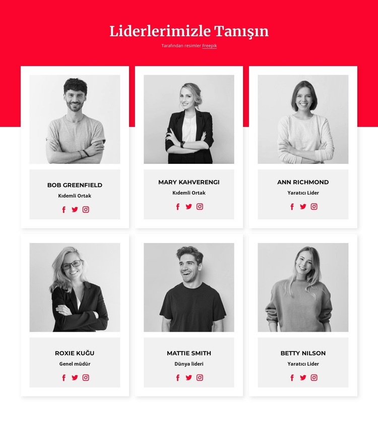 Liderlerimizle tanışın Web Sitesi Oluşturucu Şablonları