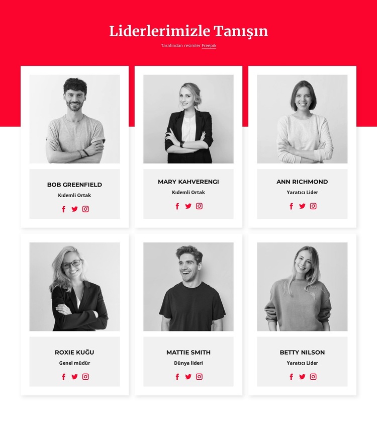 Liderlerimizle tanışın Web Sitesi Şablonu