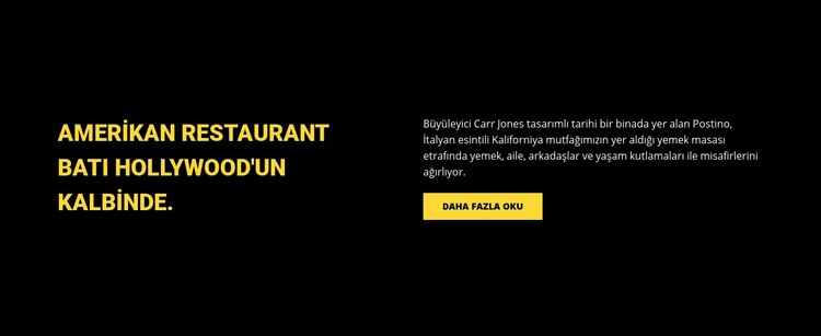 Amerikan restoranı Web sitesi tasarımı