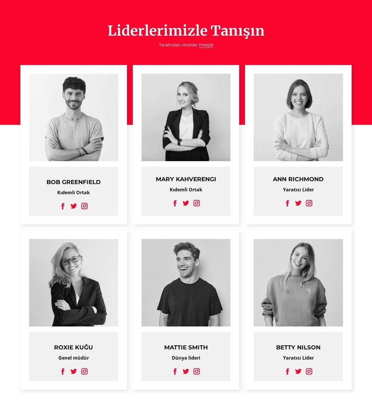 Liderlerimizle tanışın WordPress Teması