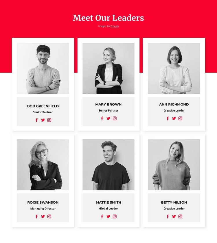 Meet our leaders Web Page Design
