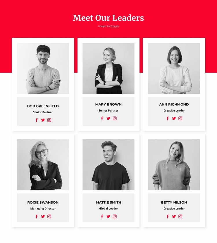 Meet our leaders Website Mockup