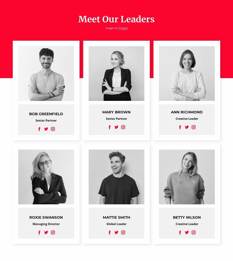 Meet our leaders Website Template