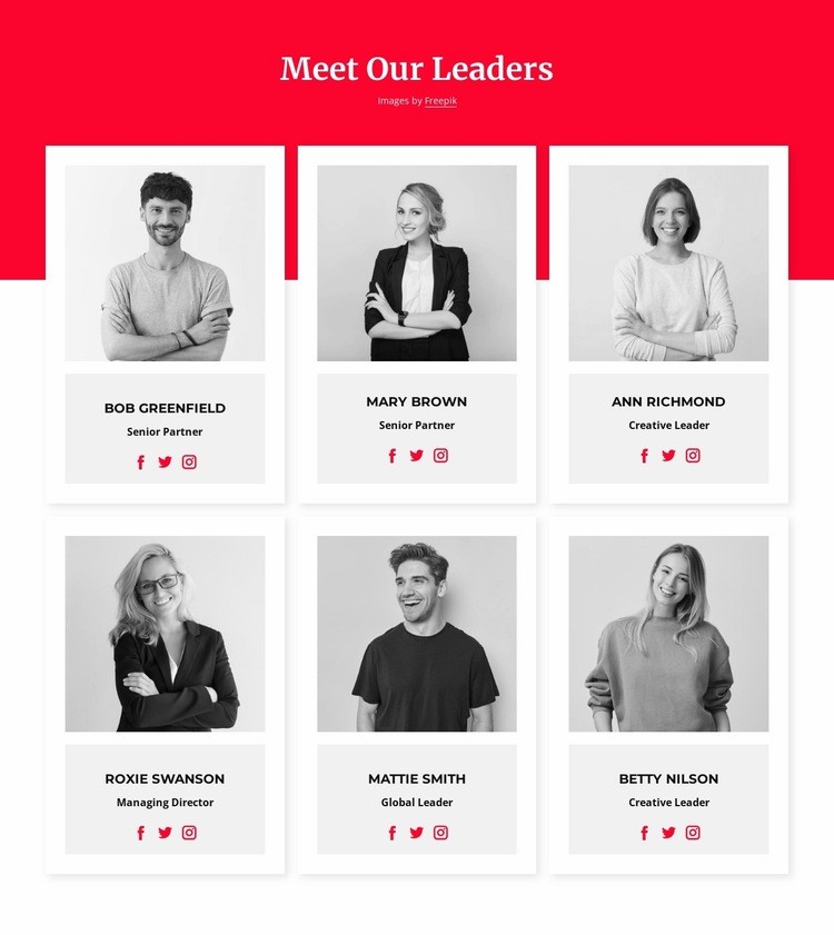 Meet our leaders Wix Template Alternative