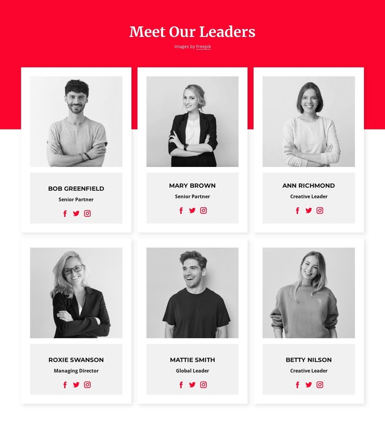 Meet our leaders WordPress Theme