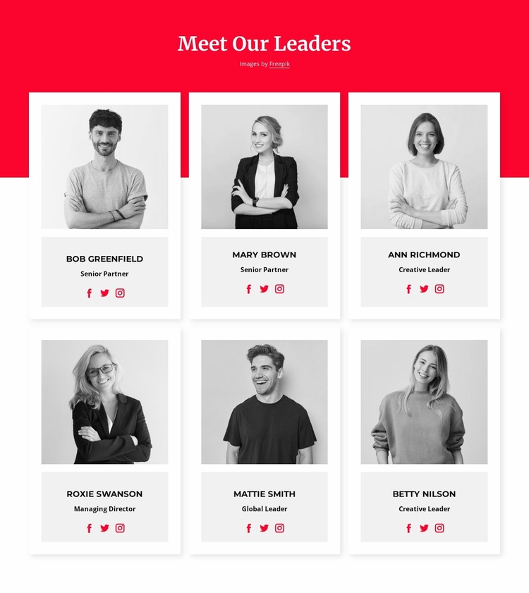 Meet our leaders WordPress Website Builder