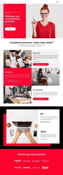 Modèle CSS Pour Accompagnement Et Conseil En Entreprise