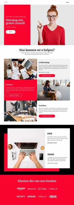 Bedrijfscoaching En Advisering - Aanpasbare Professionele Landingspagina