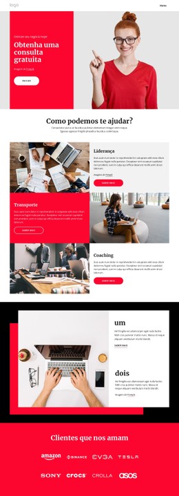 Coaching E Consultoria Empresarial Modelo De Site CSS Gratuito