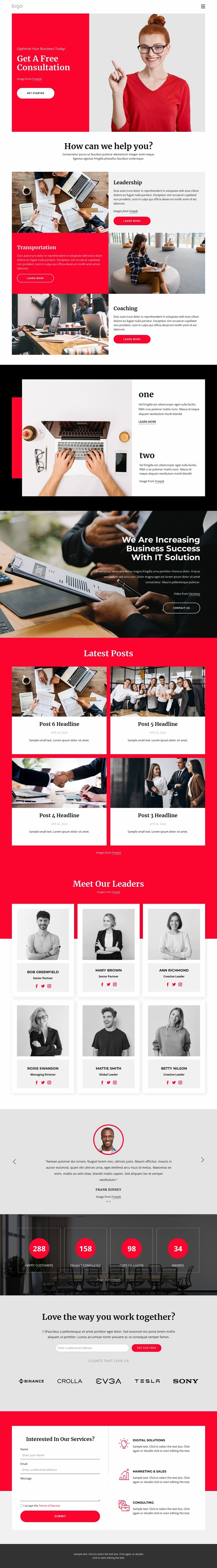 Business coaching and consulting Website Builder Templates