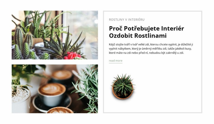 Ozdobte interiér rostlinami Téma WordPress