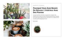 Décorer L'Intérieur Avec Des Plantes #Website-Mockup-Fr-Seo-One-Item-Suffix