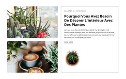 Décorer L'Intérieur Avec Des Plantes - Modèle HTML Simple