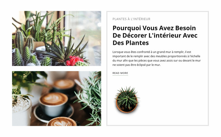 Décorer l'intérieur avec des plantes Modèle Joomla