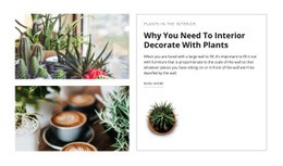 Decorate Interior With Plants