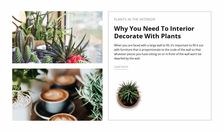 Díszítse a belső teret növényekkel Html Weboldal készítő