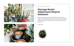 Udekoruj Wnętrze Roślinami – Motyw WordPressa