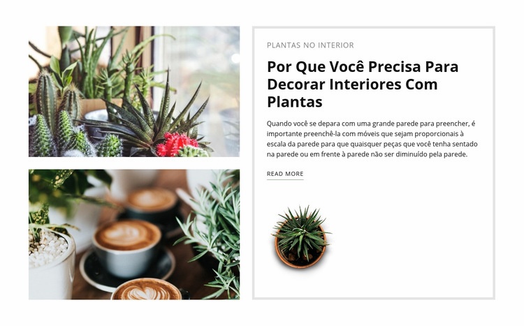 Decore o interior com plantas Design do site