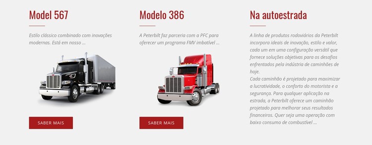 Serviços de logística de automóveis Modelo