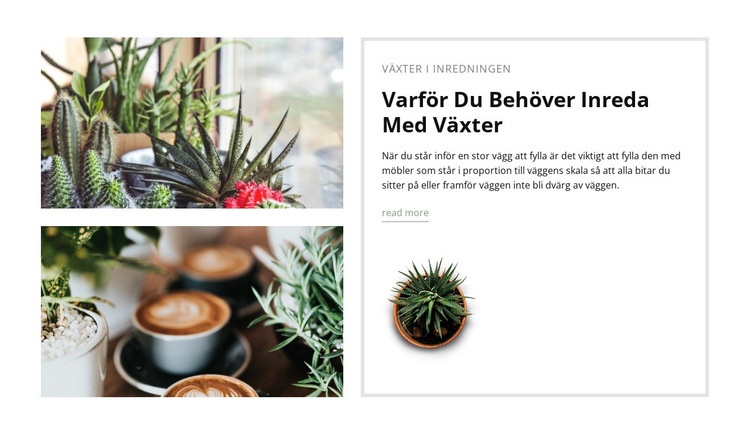 Dekorera interiören med växter Hemsidedesign