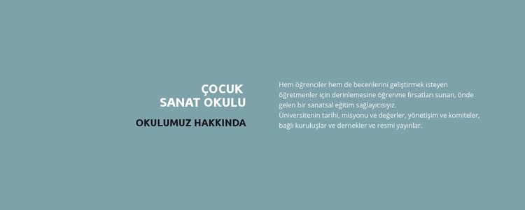 Okul hakkında metin CSS Şablonu