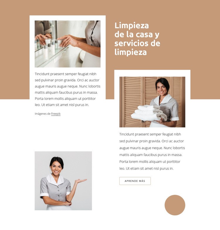 Servicios de mucama y limpieza de la casa Maqueta de sitio web