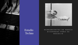 Sitio De WordPress Para Estudio Techno