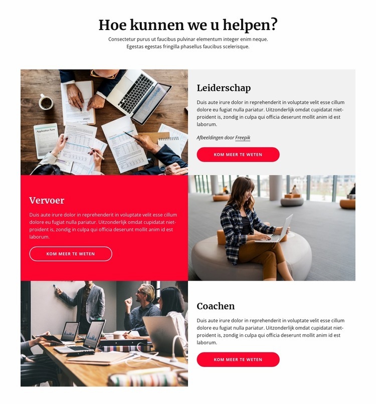 Leiderschap, innovaties, coaching Website mockup