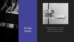 WordPress Site For Techno Studio