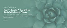 Urban Nature Oasis Basic Html Template With CSS
